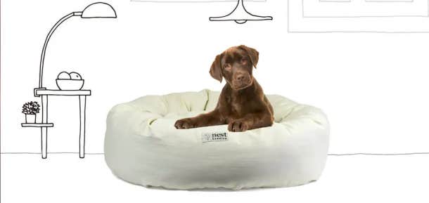 Nest bedding cheap dog bed